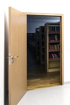 Деревянная огнестойкая дверь Деревянная огнестойкая дверь